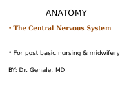 NERVOUS SYSTEM.pdf